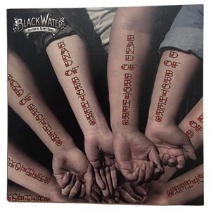 Blackwater Rhythm and Blues Band - Band of Brothers ( CD, 2018) VHTF